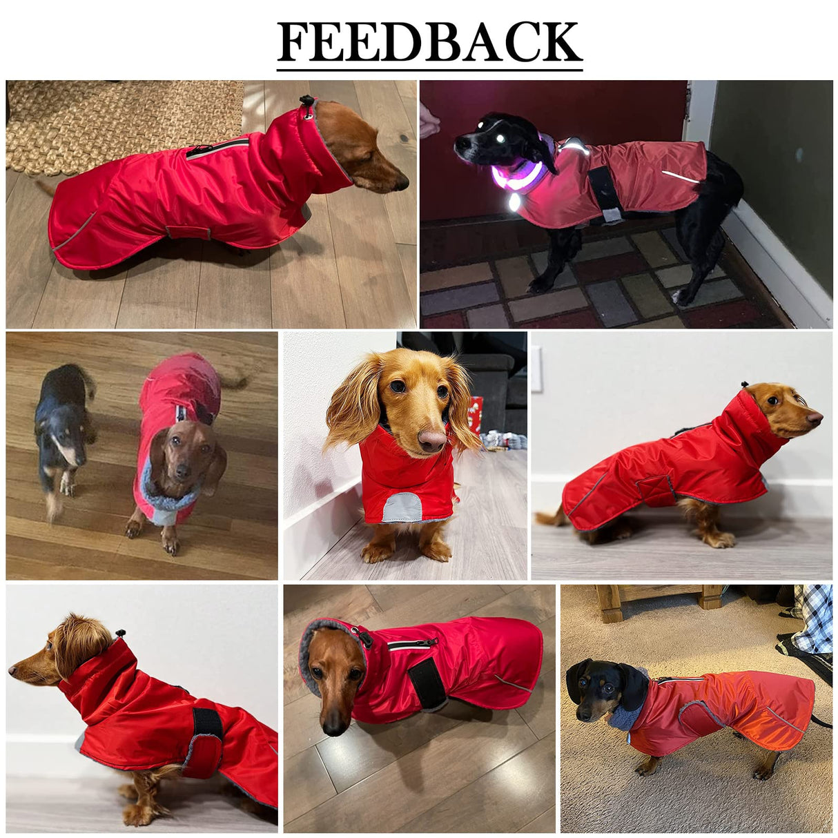 Dachshund Coats Waterproof, Perfect for Dachshunds, Sausage, Weiner Dog Winter Coat with Padded Fleece, Puppy Snowsuit with Adjustable Bands and High Vis Reflective Trim - Red - XS