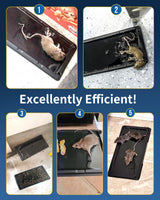 Mouse Glue Traps Indoor, Pre-Scented Rat Traps, Sticky Mouse Traps for Home, Universal Pest Glue Traps Indoor Effective Catching Snakes Spiders Rats Mice Cockroaches Ant, Non-Toxic (10 Pack)