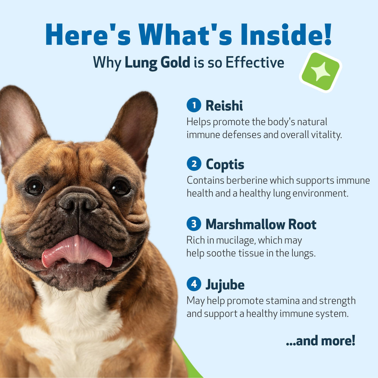 Pet Wellbeing Lung Gold for Dogs - Respiratory Support for Canine Lungs, Healthy Immune Defenses, Lower Respiratory Tract - NASC Certified & Vet-Formulated - 2 oz Liquid