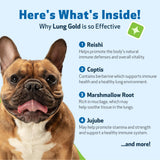 Pet Wellbeing Lung Gold for Dogs - Respiratory Support for Canine Lungs, Healthy Immune Defenses, Lower Respiratory Tract - NASC Certified & Vet-Formulated - 2 oz Liquid