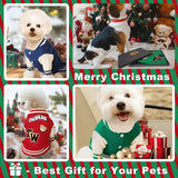Small Dog Sweater Sweatshirt Cute Puppy Sweaters - Winter Green Warm Knitted Bear Design for Puppies (M)