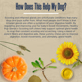 Glands Bowel Support - 120 Delicious Scoot Soft Chews for Scooting, Healthy Anal Glands, and Digestive Health - Made with Pumpkin Powder for Dogs