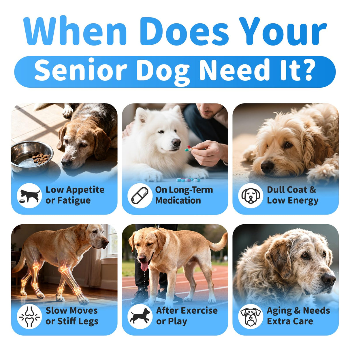 POPPAW Senior Dog Liver & Joint Supplement – Same, Milk Thistle (Silybin), Glucosamine, MSM for Liver Health Detox, Mobility, Joint Pain Relief, Cognitive & Vitality Support, Chicken Flavor, 90Ct
