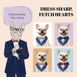 AVERYDAY Dog Tuxedo Bandana Collar for Wedding Outfit, Dog Tux Costume with Bowtie, Pet Harness with Leash Ring for Birthday Party Christmas, Formal Wear Suit and Tie for Small Medium Large Breeds