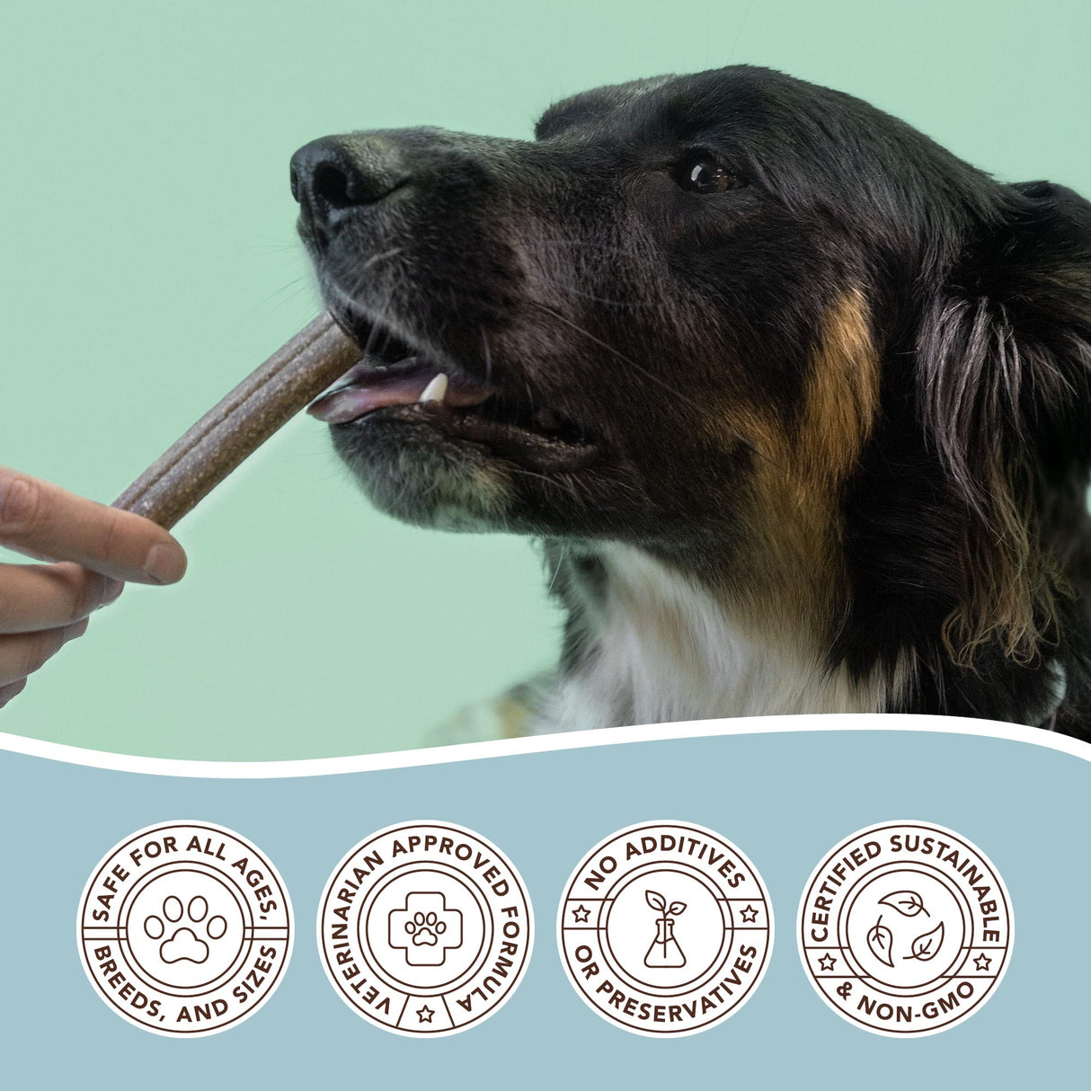 Natural Dog Company Dental Chews for Dogs – Freshens Breath & Helps Reduce Plaque & Tartar, Natural No-Brushing Oral Care Treats, Vet Formulated, Made in USA, 18 Count