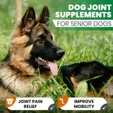 Turmeric for Dogs – 180 Count Tablet Treats with Curcumin & Piperine – Joint Health, Mobility, Allergy & Itch Relief, Skin & Coat, Hot Spots – Duck Flavor with Salmon Oil