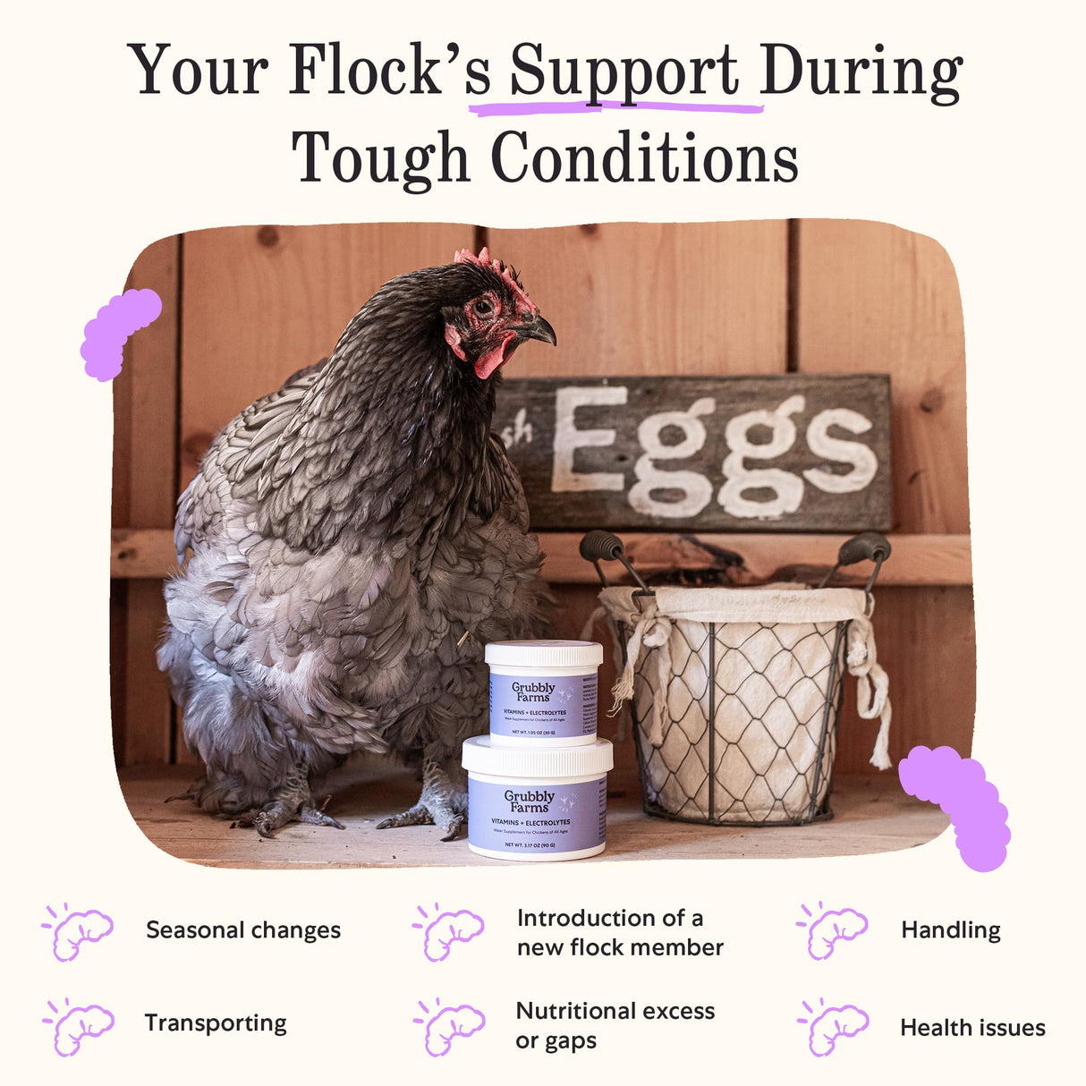 Grubbly Farms Vitamins + Electrolytes Water Supplement for Chickens (30 Day)