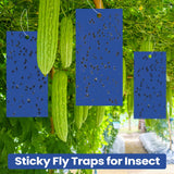 Qualirey 100 Pcs Double Sided Sticky Traps for Flying Plant Insect Like White Flies Aphids 7.87 x 3.9 Inch Sticky Gnat Traps Killer Fruit Fly Traps for Indoor Outdoor Including Twist Ties (Blue)