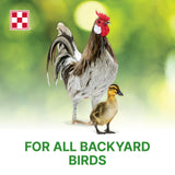 Purina | Flock Raiser Crumbles Poultry Feed | 50 Pound (50 LB) Bag