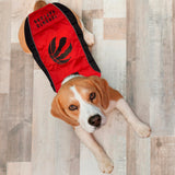 NBA Toronto Raptors Puffer Vest for Dogs & Cats, Size Small. Warm, Cozy, and Waterproof Dog Coat, for Small and Large Dogs/Cats. Best NBA Licensed PET Warming Sports Jacket