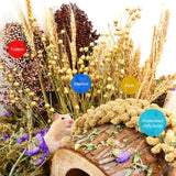 ALWZ-RDY Natural Hamster Bedding, Hamster Herbs Flowers for Hamster Cage Enclosure Habitat Decor Hamster Sprays for Dwarf Syrian Guinea Hamsters Gerbil Degus or Other Small Animals（Grain Version）