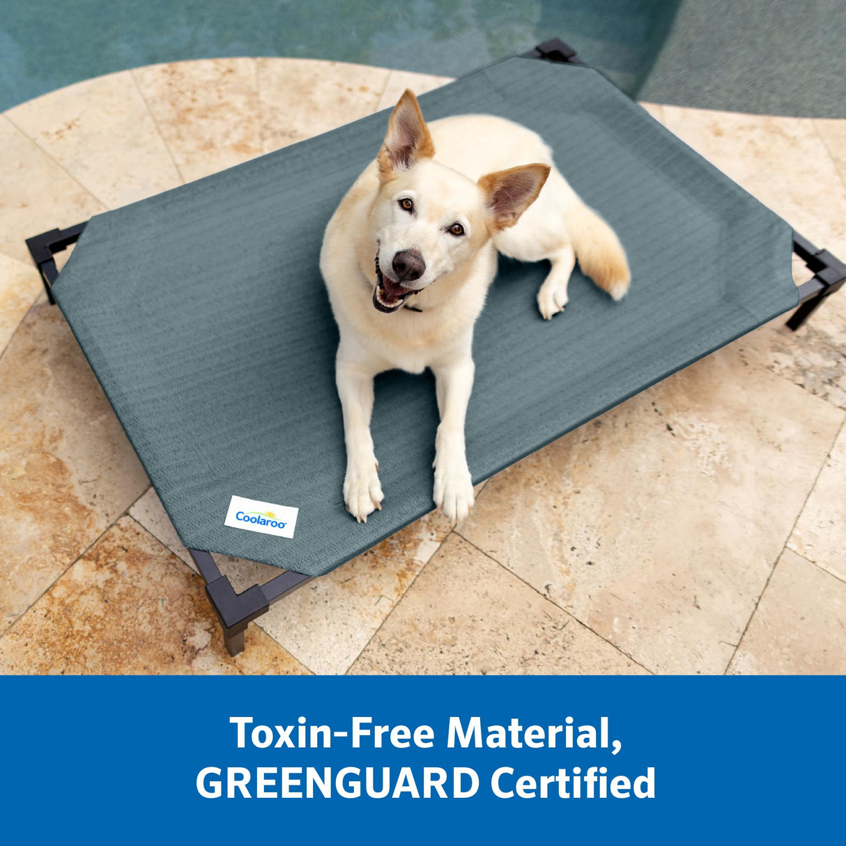 Coolaroo Pro Elevated Dog Bed with HeatShield Fabric – Advanced Cooling Raised Cot for Medium & Large Breeds, Easy-Clean, Low-to-Ground Access, Bonus Bolster Pillow – Everglade Green