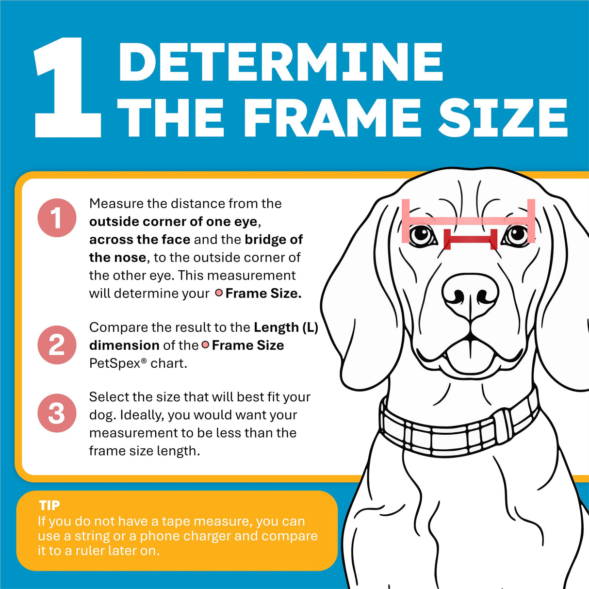PetSpex® Dog and Cat Sunglasses, Pet Goggles with UV Protection, Windproof Water Resistant Pet Glasses with Adjustable Head and Chin Straps for Outdoor Adventures, Small, Black