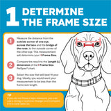 PetSpex® Dog and Cat Sunglasses, Pet Goggles with UV Protection, Windproof Water Resistant Pet Glasses with Adjustable Head and Chin Straps for Outdoor Adventures, Small, Black