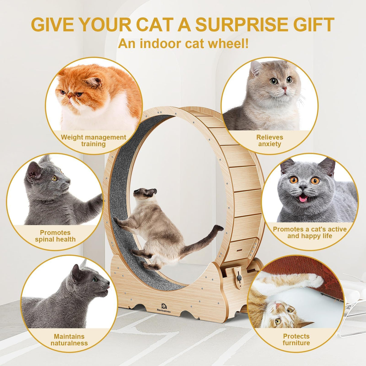 Naviconvex Cat Wheel, 48" XL Large Cats Exercise Running Wheel, Cat Treadmill for Indoor Cats