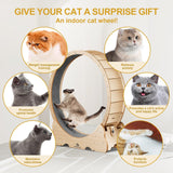 Naviconvex Cat Wheel, 48" XL Large Cats Exercise Running Wheel, Cat Treadmill for Indoor Cats