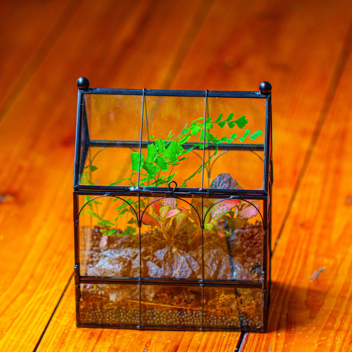 NCYP Small Glass Terrarium Enclosure with Mesh for Jumping Spiders, Micro House Shaped Succulent Plants Terrarium, Home Decor Black, 5.8" x 3.8" x 7" (No Plants)