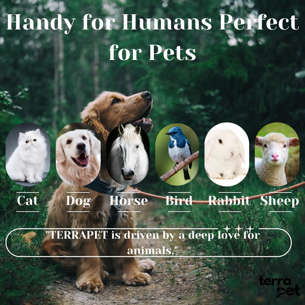 TERRAPET Pet Eye Cream Health for Dogs, Cats, Cattle, Sheep, Horse, Bird 1/8 oz / 5 gr, 1 Tube Gentle Daily Eye Care, Easy Topical Application