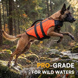 Queenmore Extra Large Dog Life Vest for Swimming Boating,Adjustable Ripstop Dog Life Vest for Large Dogs,Dogs Lifesaver with Rescue Handle, Doggie Swimming Vest for Big Pets,Orange,XL