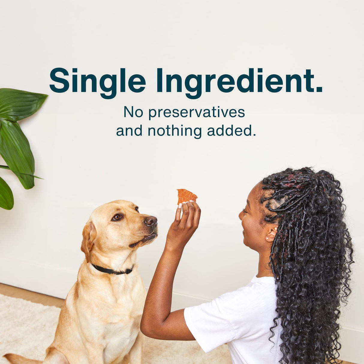 JustFoodForDogs Healthy Dog Treats, Single-Ingredient, Chicken Breast, 5 oz