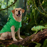 MuYaoPet Chameleon Dog Costume for Halloween,Winter Fleece Pet Cat Coat Jacket for Small Medium Large Dog,Pet Funny Clothes Hoodie Labrador Bulldog Chihuahua (Green,3XL)