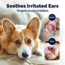 Load image into Gallery viewer, Vetnique Oticbliss Cat &amp; Dog Ear Infection Treatment/Dog Ear Allergy Relief Drops, MicroSilver Yeast Infection Treatment for Dogs, Hydrocortisone for Itching, Redness Swelling (Ear Infection)

