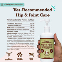 Load image into Gallery viewer, Natural Dog Company Liquid Glucosamine Hip &amp; Joint Oil for Dogs, 16 oz, Extra Strength Cartilage &amp; Joint Support, Helps Mobility and Eases Occasional Stiffness, Dog Vitamins &amp; Supplements
