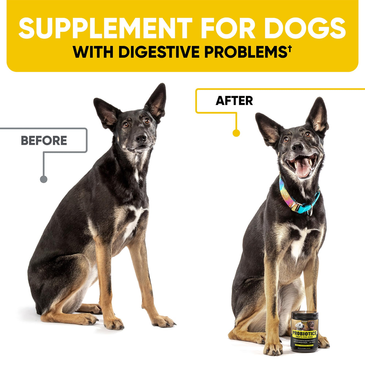 Probiotics Chews for Dogs w/Digestive Enzymes - Dog Probiotics to Support Gut Health, Alleviate Dog Itch, Soothe Itchy Skin, Dog Allergy Relief - Good for Immunity & Dog Itching Skin Relief -180 ct