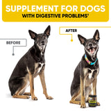 Probiotics Chews for Dogs w/Digestive Enzymes - Dog Probiotics to Support Gut Health, Alleviate Dog Itch, Soothe Itchy Skin, Dog Allergy Relief - Good for Immunity & Dog Itching Skin Relief -180 ct