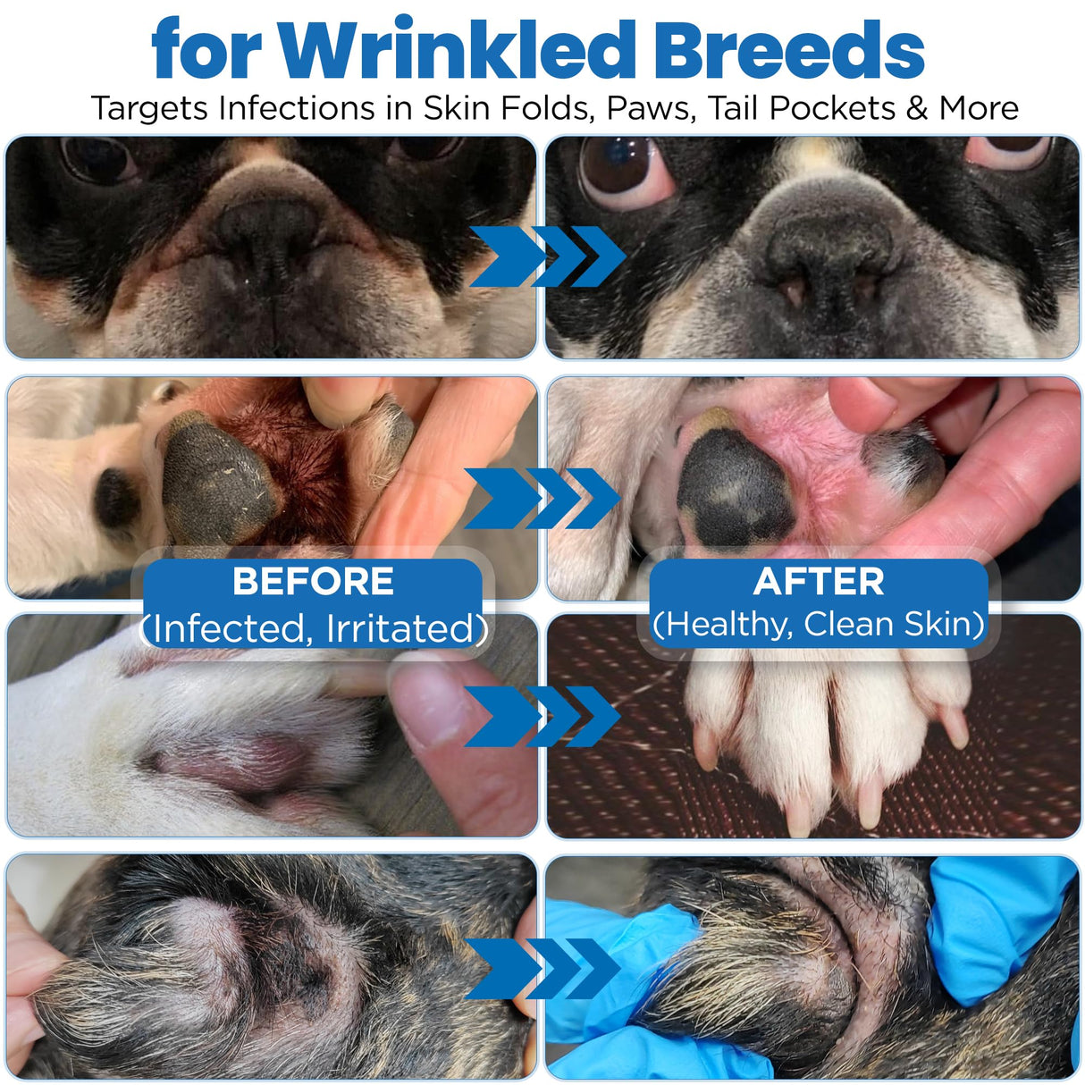 Yibesi Wrinkle Balm for Dog Wrinkles 3 Oz Includes Applicator, Dog Lotion for Dry Itchy Skin Relief, Yeast Infection Treatment, Protects from Cracks & Wounds