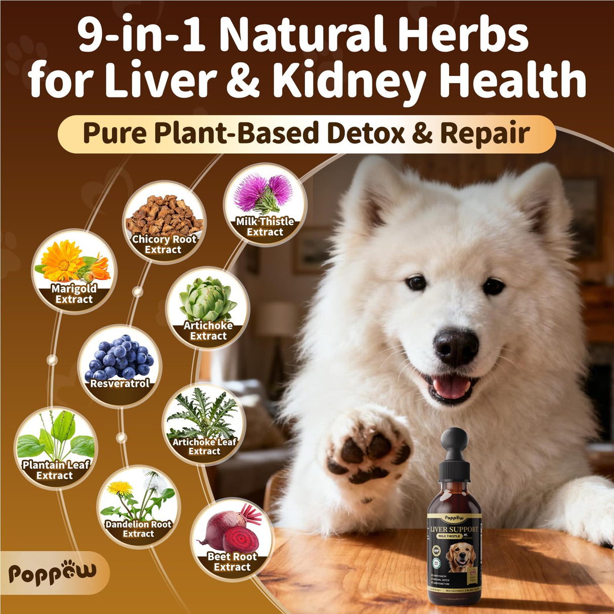 POPPAW Milk Thistle for Dogs – 9-in-1 Liver and Kidney Support Drops with Artichoke, Resveratrol, Marigold Extract, 100% Natural Detox Supplement for Liver Function, Split Dropper, Bacon Flavor, 2Oz