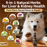POPPAW Milk Thistle for Dogs – 9-in-1 Liver and Kidney Support Drops with Artichoke, Resveratrol, Marigold Extract, 100% Natural Detox Supplement for Liver Function, Split Dropper, Bacon Flavor, 2Oz