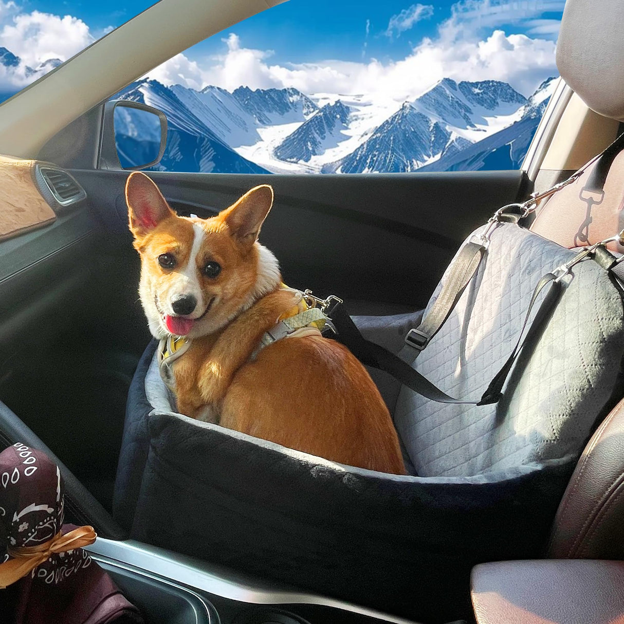 VERGODPRO Car Dog Seat,Pet Booster Carseats for Dogs up to 25lbs,Safe and Comfy Puppy Travel Car Bed with Storage Pockets and 2 Safety Belt,Ultra Soft Fabric, Easy to Install,Fully Removable Washable.