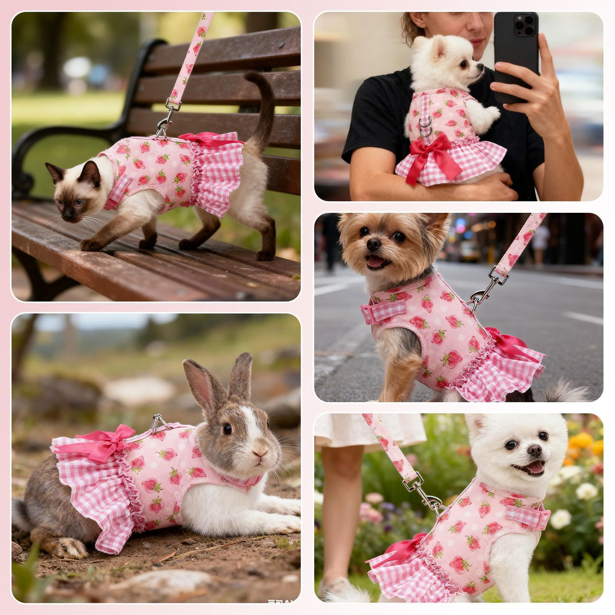 EXPAWLORER Dog Harness Small Medium Sized Dogs, Plaid Dog Dress Bowknot Harness and Leash Set, No Choke No Pull Soft Mesh Vest Cute Princess Puppy Outfits Clothes Costume for Girls Party Cats Pink M