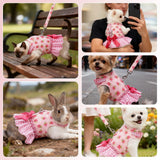 EXPAWLORER Dog Harness Small Medium Sized Dogs, Plaid Dog Dress Bowknot Harness and Leash Set, No Choke No Pull Soft Mesh Vest Cute Princess Puppy Outfits Clothes Costume for Girls Party Cats Pink M