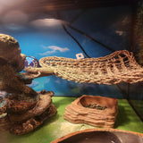 MUYG Tank Accessories for Bearded Dragon Include Resin Classical Castle Reptile Hammocks Climb Habitat Hanging Jungle Vines Flexible Leaves Climbing Decor for Chameleon Lizard Gecko Spider(6 PCS)