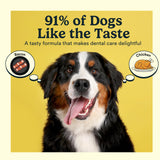 Jasper Dog Tooth Brushing Kit and Dog Toothpaste Kit with Dog Toothbrush Enzymatic, Plaque Remover Imporves Bad Breath Natural Pet Toothpaste Dog Toothbrush and Toothpaste 3.5oz Bacon Flavor