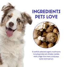 Load image into Gallery viewer, Wonder Paws Immune Support Mushroom Powder for Dogs – Organic Mushroom Complex for Immunity, Cognition, Cellular Health, Longevity - With Turkey Tail Mushroom for Dogs, Reishi &amp; Lions Mane – 90 Scoops
