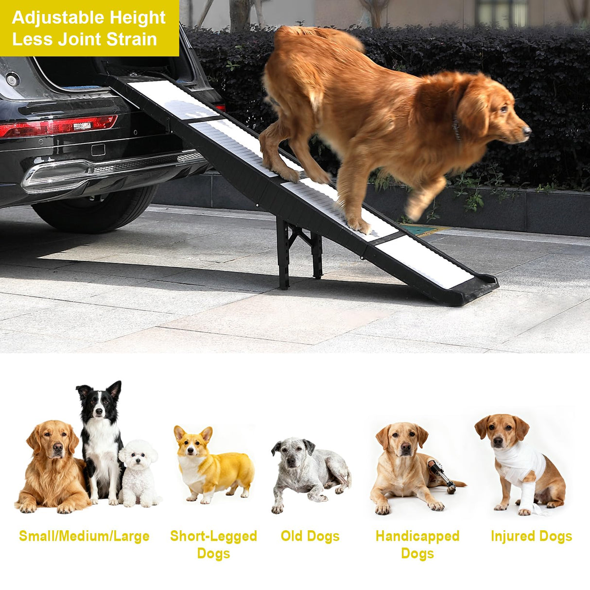 BAQTALE Foldable Dog Ramp for Cars – 68.89" L x 15.74" W, Supports 220 lbs, 8 Adjustable Heights with Support Legs, Non-Slip Surface, Portable Pet Ramp for Large Dogs, Folds to Carry-On Size