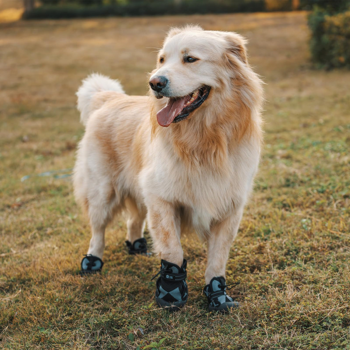 Arblina Dog Shoes for Large Medium Size Dogs, Waterproof Anti Slip Dog Boots&Paw Protectors for Summer Hot Pavement Winter Snow, Breathable Dog Booties for Outdoor Walking Hiking Hardwood Floor