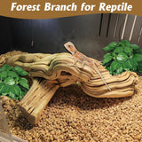 VCEPJH Large Snake Climbing Branch Decor 15.5 in Natural Reptile Wood Cork Log Bearded Dragon Tank Accessories Tree Trunk for Chameleon Gecko Ball Python Frog