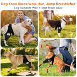 Jorme Dog Knee Brace for Torn ACL, Dog Leg Brace for Post-Surgery Recovery, Arthritis & Luxating Patella,Side Stabilizers, Breathable Neoprene, Adjustable Velcro & Belly Band,Front/Rear Legs (L)