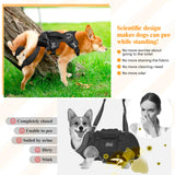 Dog Lift Harness, Dog Support & Recovery Sling for Full-Body & Hind/Front Leg – Pee-Able Design for Large/Medium Dogs – All-in-One Ideal Assistance for Senior, Disabled, Arthritic & ACL Canines (XXL)