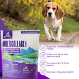 Multi-Collagen Peptide Daily Liquid Collagen for Dogs, Dog Collagen, Eggshell Powder Membrane for Dogs - Arthritis, Skin & Coat Health, Allergies,Dog Mobility Hip & Joint Pain Joint Supplement Relief