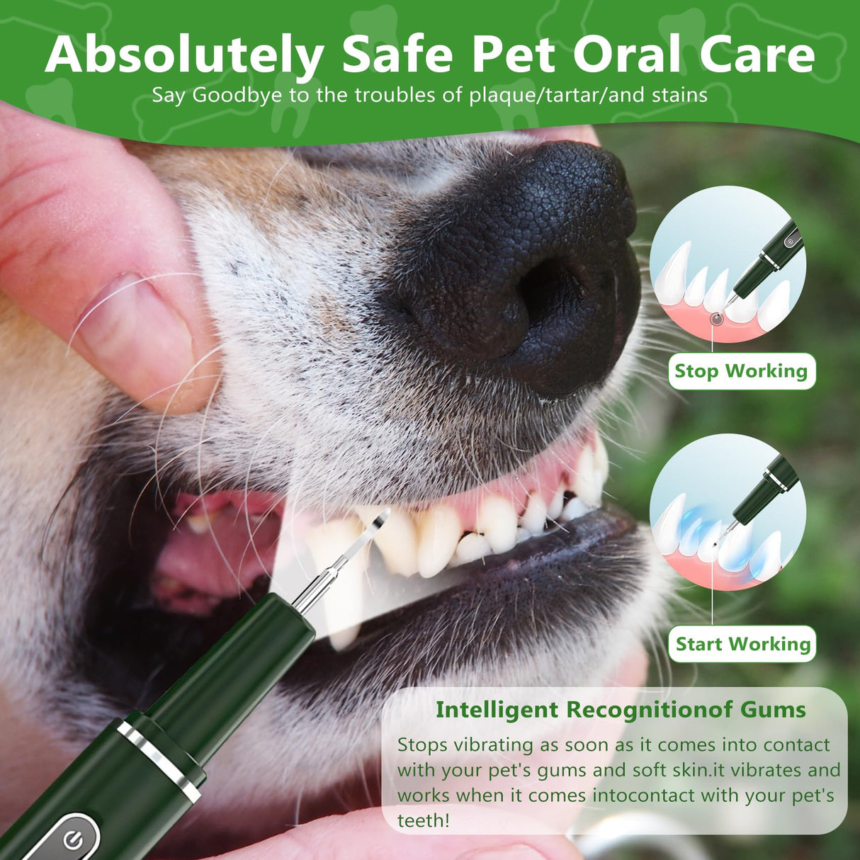 Opdent Dog Plaque and Tartar Remover - Dog Tooth Brushing Kit Electric Toothbrush for Dogs,5 Adjustable Mode& 3 Cleaning Head, Plaque Remover for Teeth Stains for Dogs and Cats (Green)