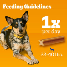 Load image into Gallery viewer, Pedigree Dentastix Small &amp; Medium Breed Dog Treats, Original with Real Chicken, 21.1 oz. Bag (45 Treats)
