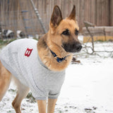 Blueberry Pet Soft & Comfy Baseball Fans Favorite Argyle Jacquard Pullover Dog Sweatshirt in Grey, Back Length 22", Pack of 1 Jacket for Dogs