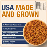 USA Grown Black Soldier Fly Larvae for Chickens - 100% Natural Dried Mealworms for Chickens - Grubs with 85X More Protein Chicken Treats for Laying Hens - Birds Feed Supplement for Ducks & Reptiles