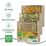Small Pet Select Forage Tray Bundle, 3 Pack of Foraging Trays for Rabbit, Guinea Pig, Hamster or Bunny - Natural Treats, Dandelion, Flower, Herb Mix 2.5oz Each