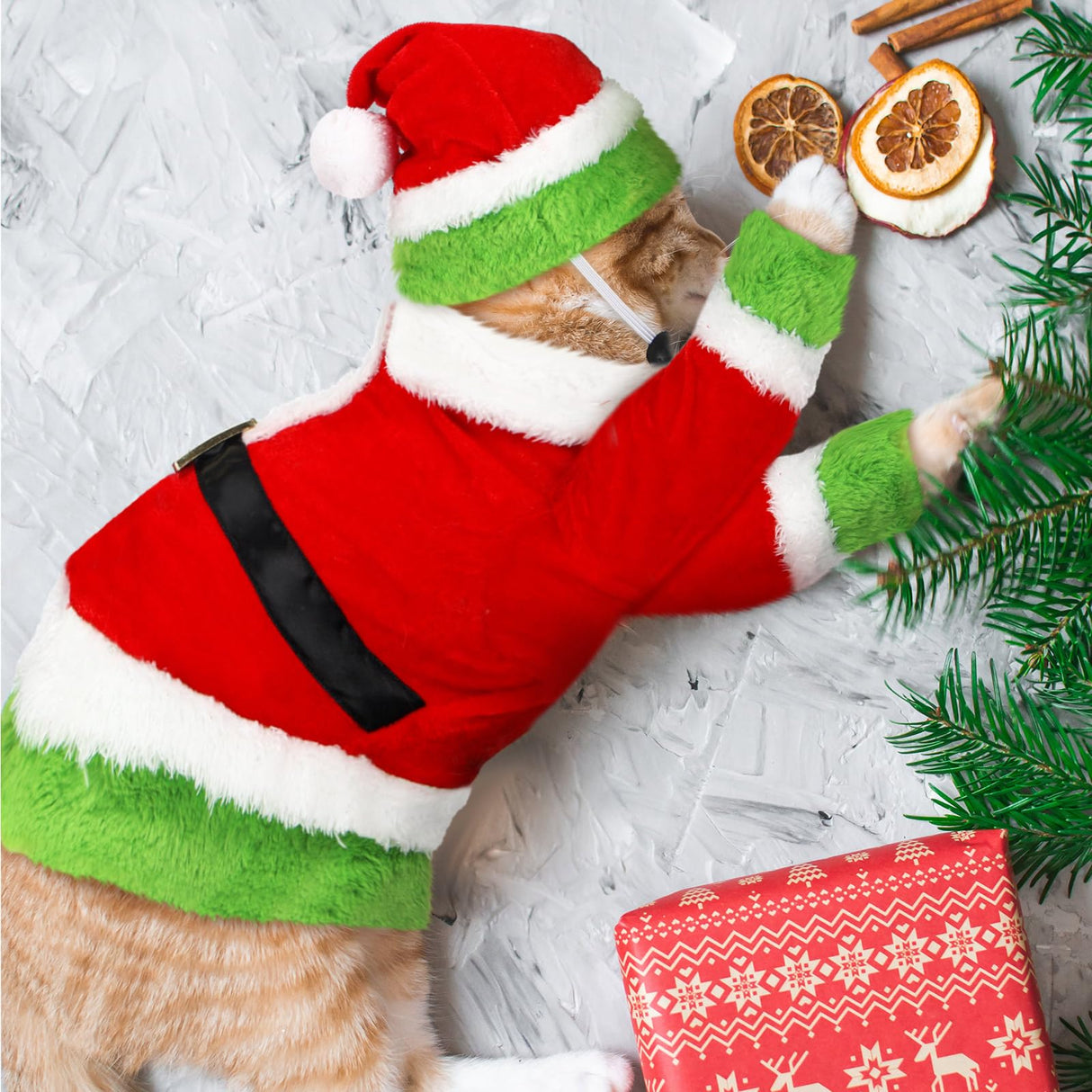 Dansydaisy Cat Christmas Costume Lime Green Character Pet Outfit Holiday Green Furry Pet Velvet Costume Cosplay Outfit Cute Funny Christmas Dogs and Cats Clothes for Party Favors(X-Large)